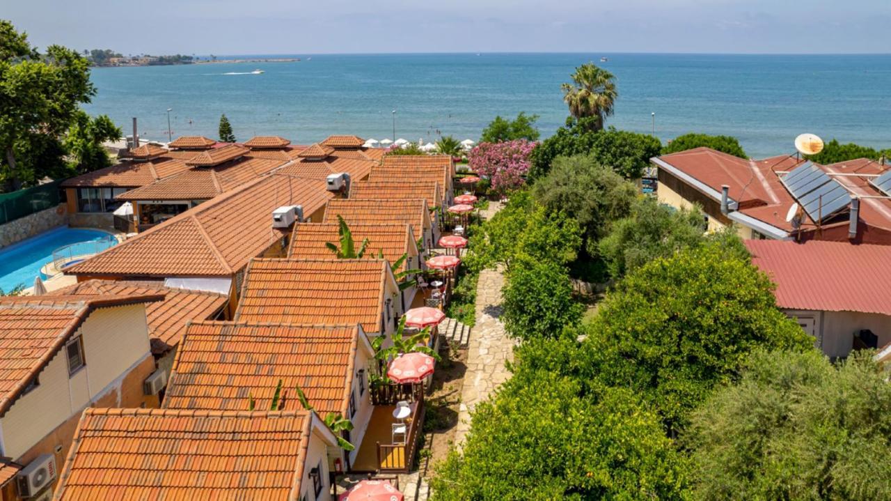 Clover Magic Nova Beach Hotel Сіде Екстер'єр фото