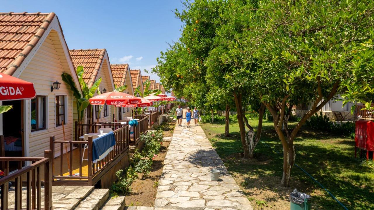 Clover Magic Nova Beach Hotel Сіде Екстер'єр фото